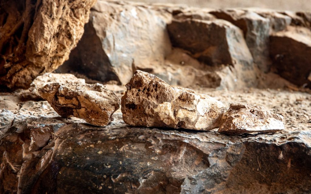 Dove abbiamo lasciato le chiavi: il valore della paleoecologia Pexels Photo 5766981 1024x638