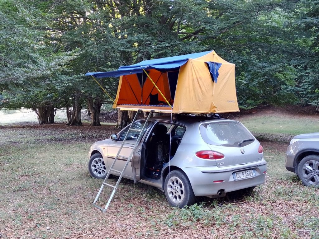 Alfa 1024x768