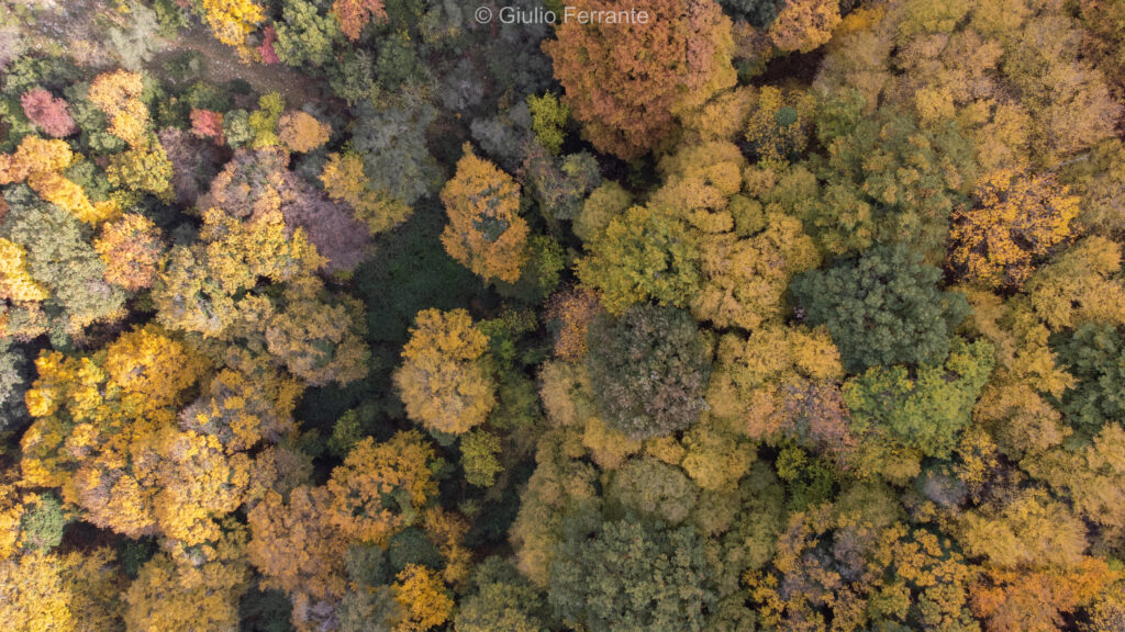 DJI 0185 1 1024x576