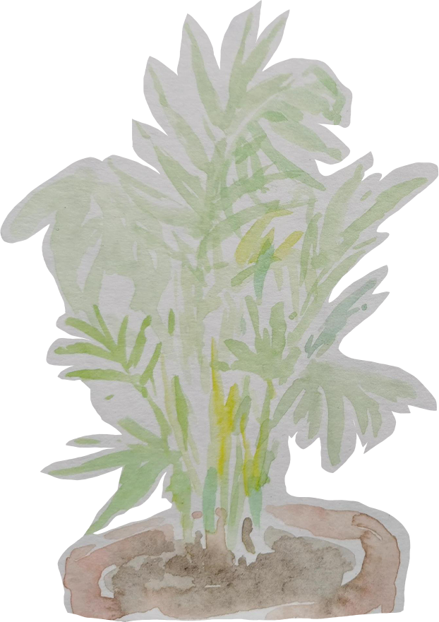 Layer 2