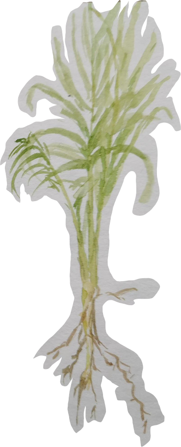 Layer 3 1
