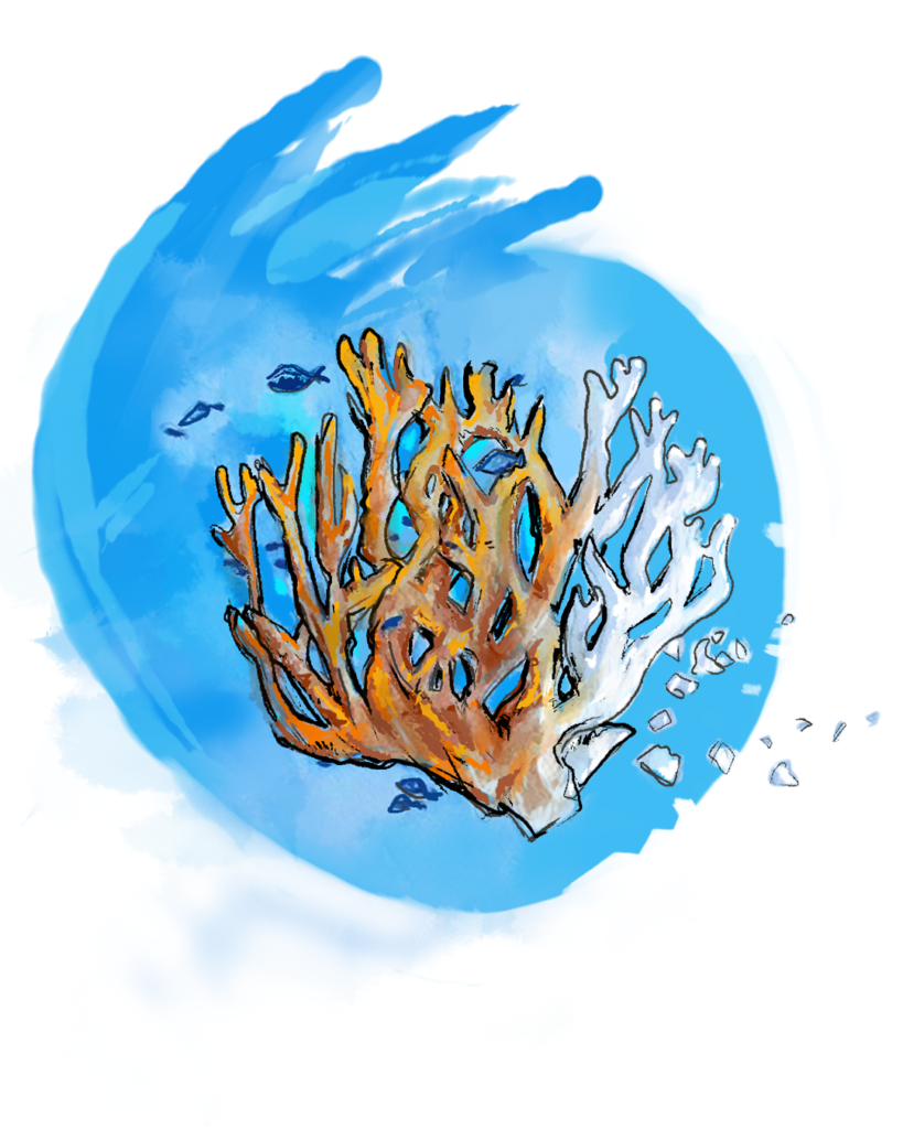 Coral Bleaching P.1 819x1024
