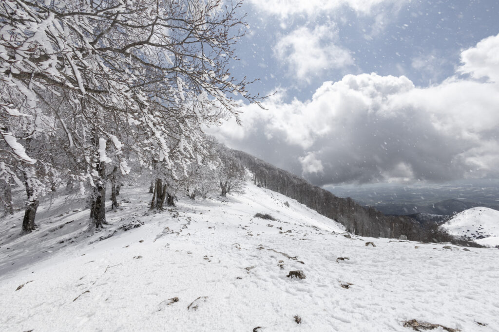 CIASPOLATA! IMG 5147 1024x683