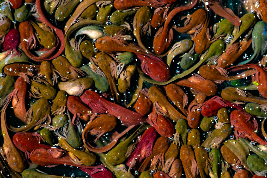 AltaValBrembana 2 1024x683