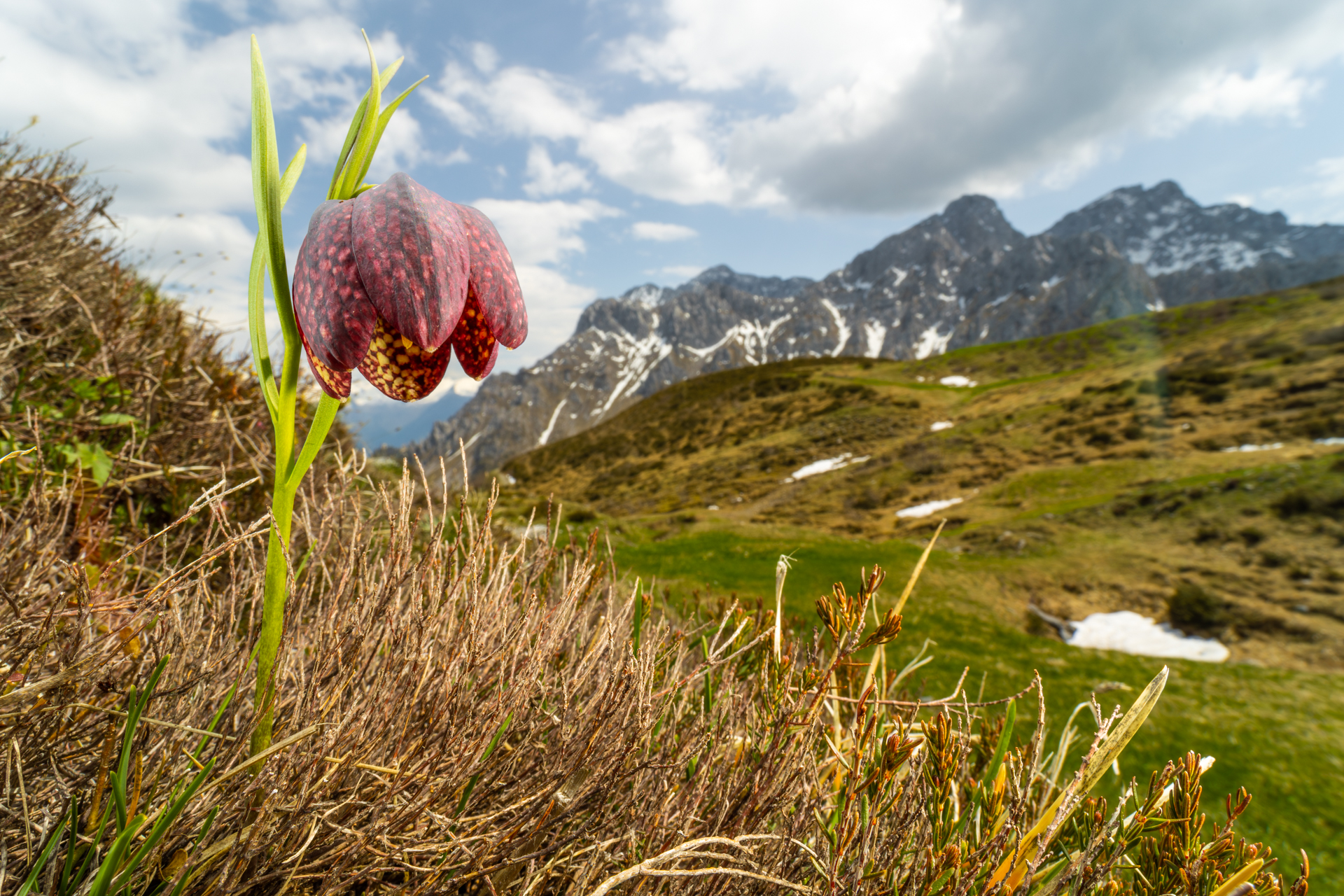 DolomitiScalvine 3