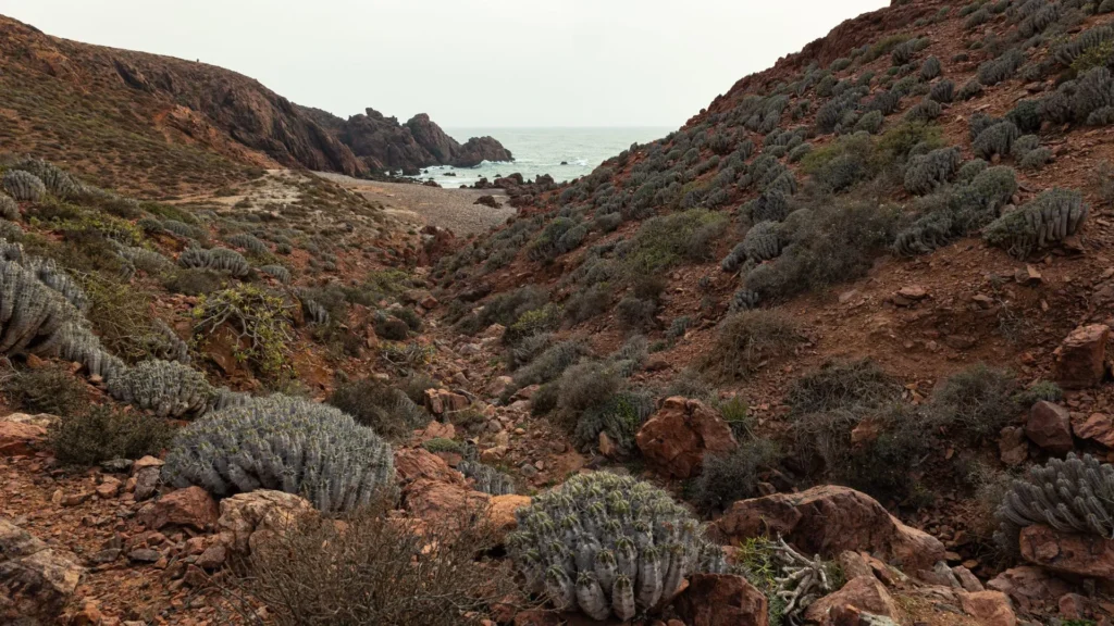Viaggi Naturalistici Biodiversita Natura Marocco Costa Atlantica Paesaggio Cover 1024x576