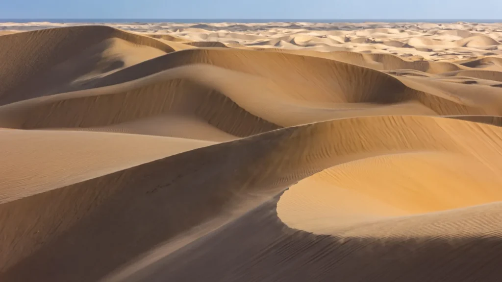Viaggi Naturalistici Biodiversita Natura Marocco Dune Deserto Sahara Khenifiss 1024x576