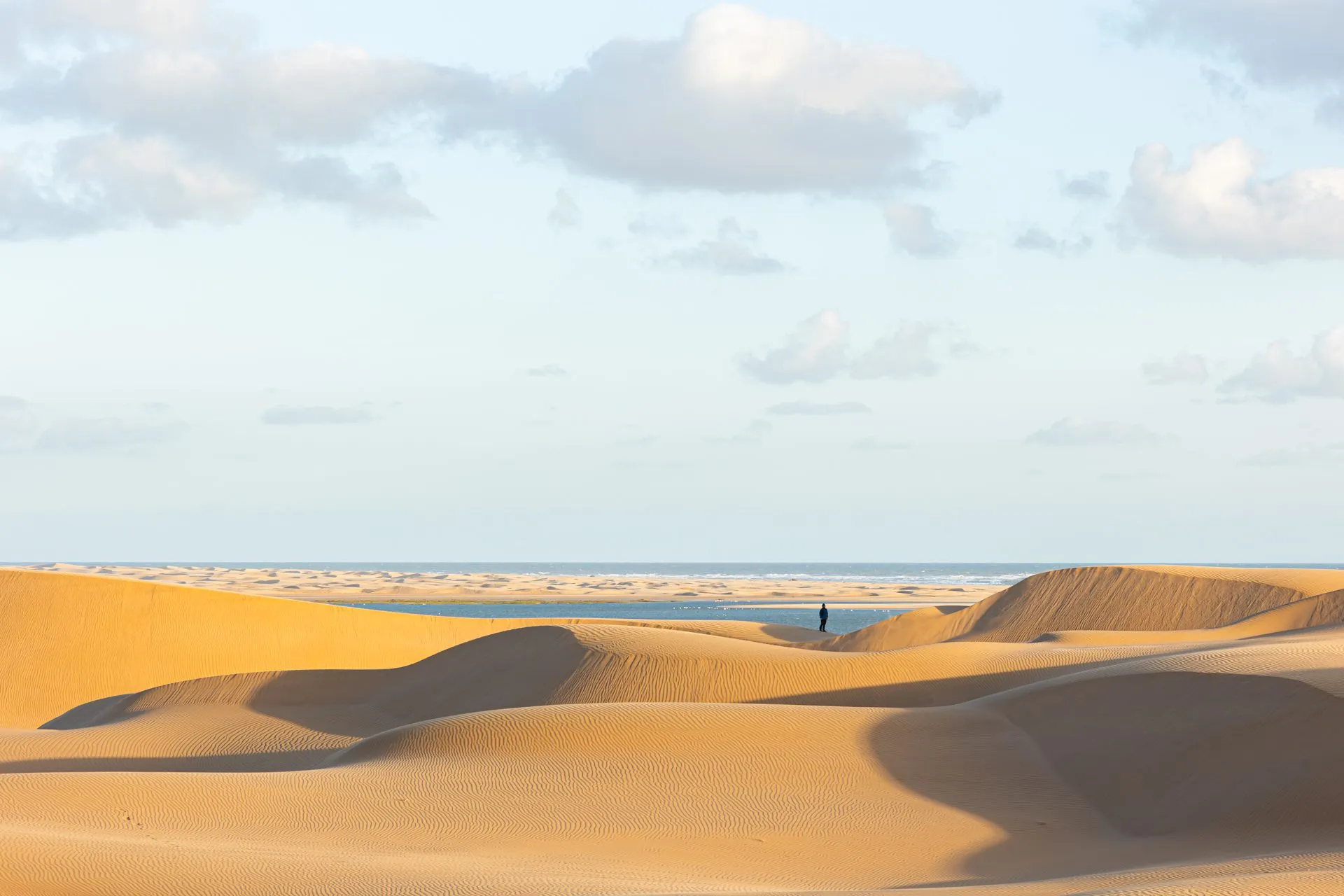 Viaggi Naturalistici Biodiversita Natura Marocco Dune Khenifiss Laguna Sahara