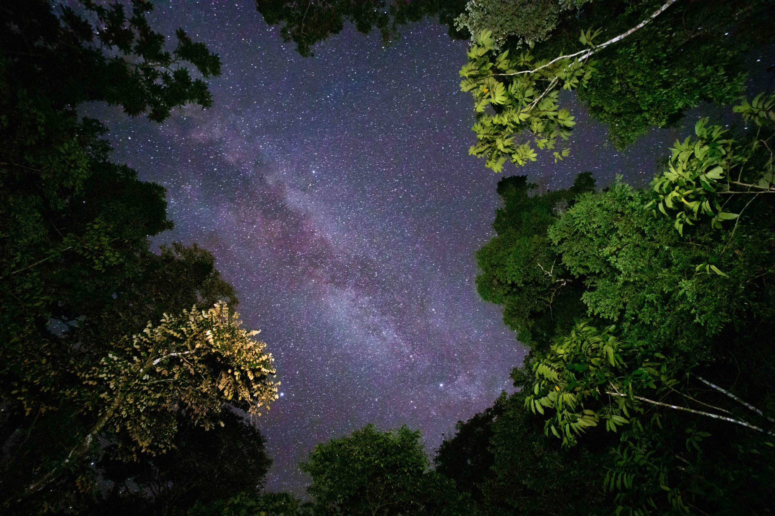 COSTA RICA, UN VIAGGIO TRA FORESTE E MARE H1A9367