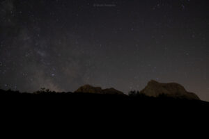 IMG 8829 2 300x200